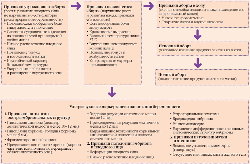 После выкидыша болит низ живота и спина