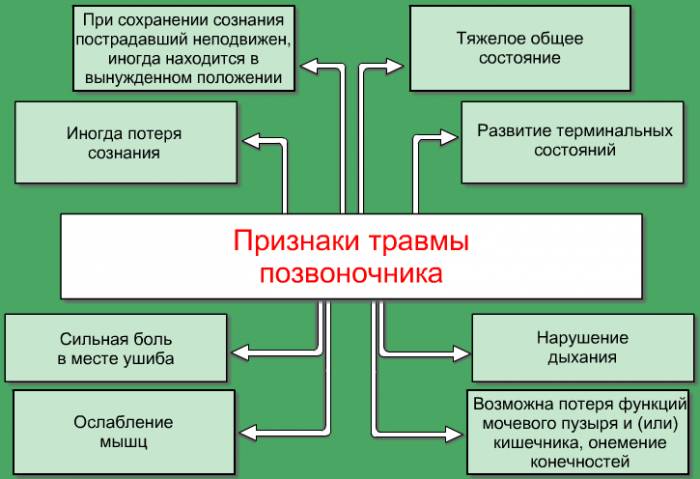 Признаки травмы позвоночника