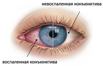 4353532