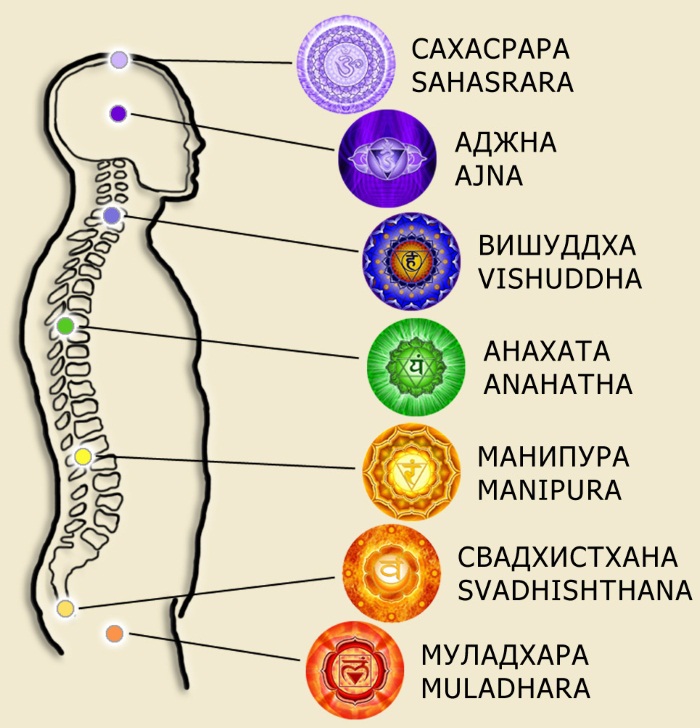 Лууле Виилма. Причины болезней, аффирмации. Заболевания позвоночника и суставов, пищеварительной, нервной системы, псориаз