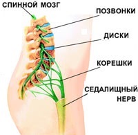 Почему может болеть поясница Изображение 2: Болит поясница - клиники АО Семейный доктор