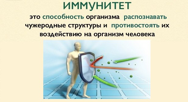 иммунитет